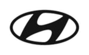 38_hyundai