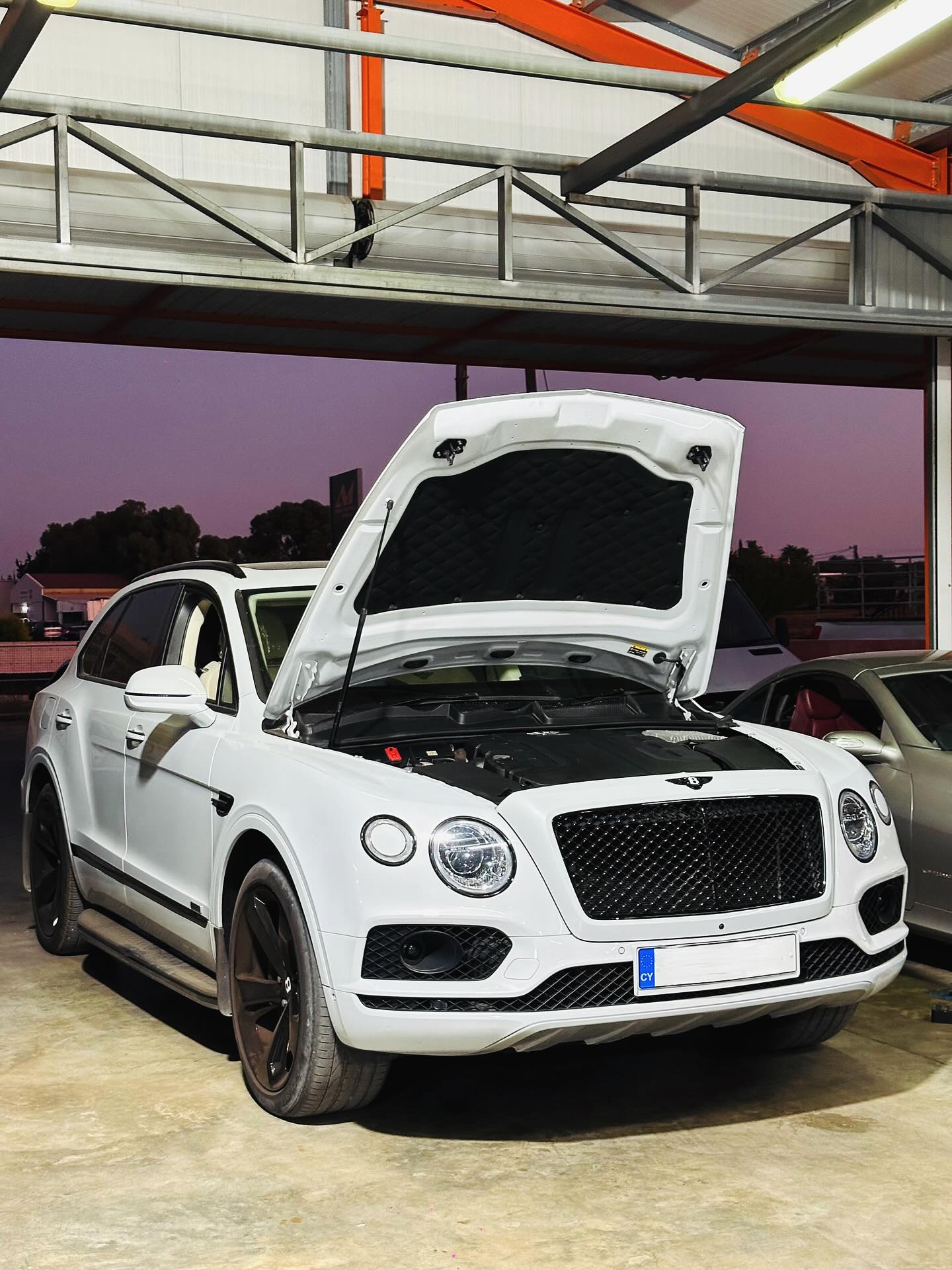 Premium Vehicle Repairs